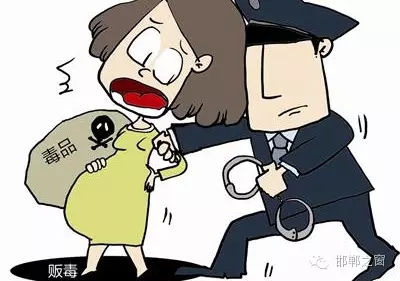 2016年初，涉縣警方查獲一起涉毒案件，鑒于該案涉案人員多、毒品交易量大，涉縣警方立即將案情上報，被公安部確立為“目標(biāo)-2016-314”號毒品案件。涉縣警方成立專案組，經(jīng)過多方追查，先后抓獲團(tuán)伙人員13名，繳獲毒品5349克，并查明上線“濮姐”的真實身份為陳某。